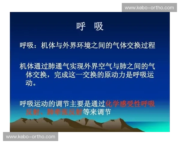 运动损伤评估方法的创新与实践探讨及其临床应用前景分析 运动损伤评估方法的创新与实践探讨及其临床应用前景分析