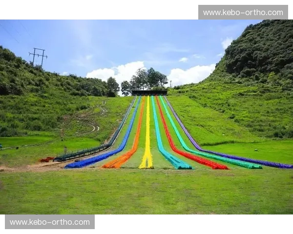 夏日滑草运动新体验探索速度激情与自然融合的户外休闲新风尚之旅启程